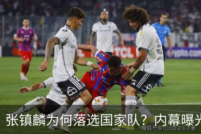 张镇麟为何落选国家队？内幕曝光，叫人心疼，郭士强并没放弃他